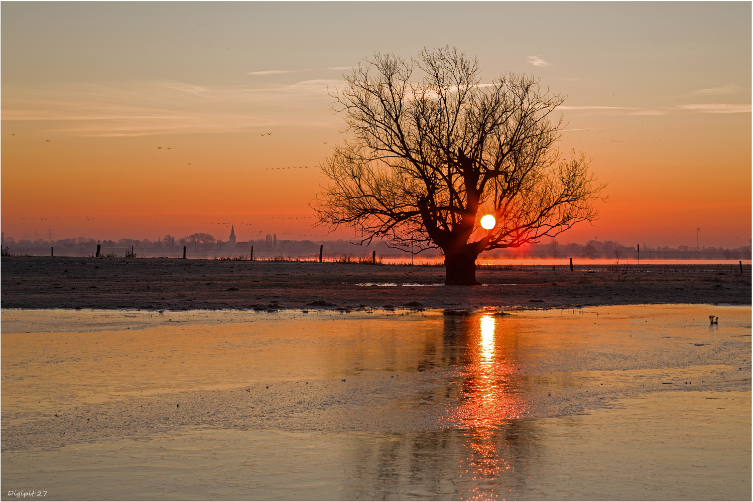 Sonnenaufgang Rhein bei Wesel-Büderich 2019-02