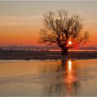 Sonnenaufgang Rhein bei Wesel-Büderich 2019-02