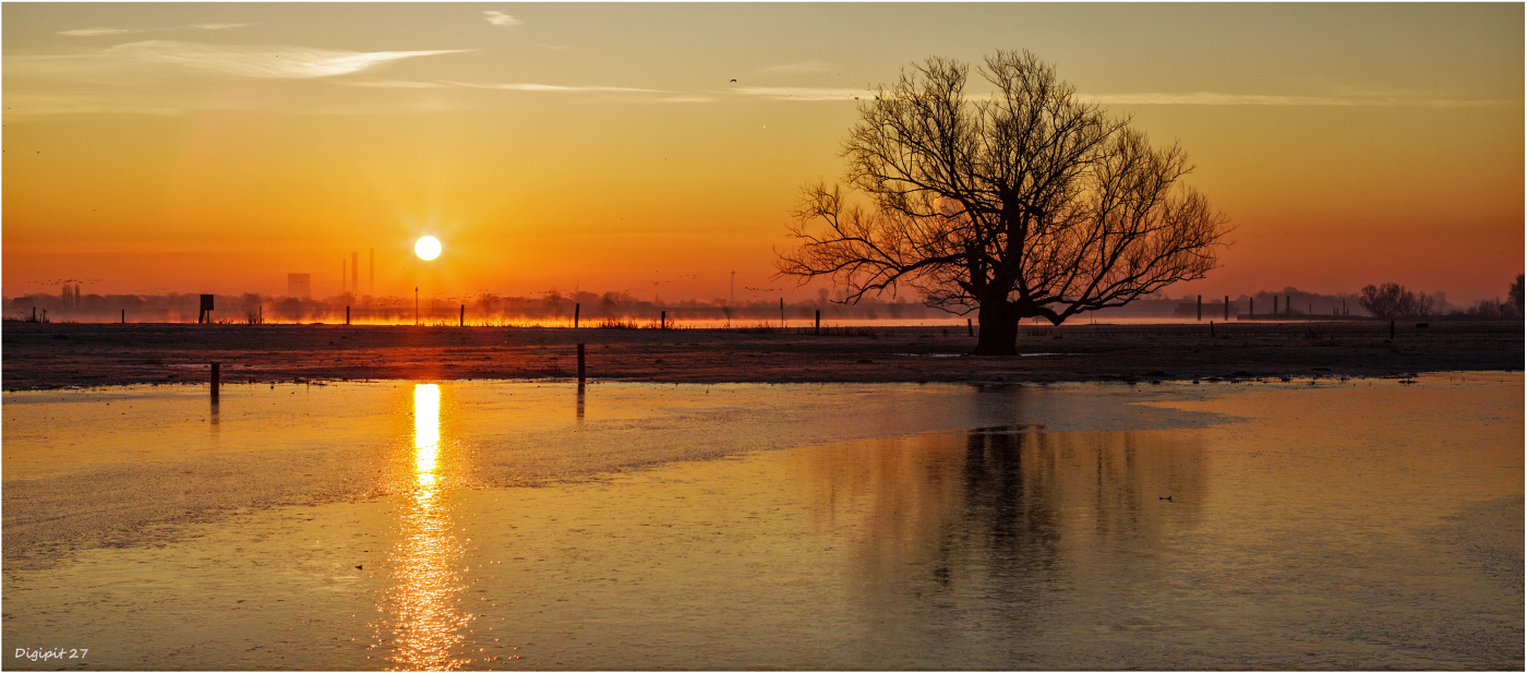 Sonnenaufgang Rhein bei Wesel-Büderich 2019-03