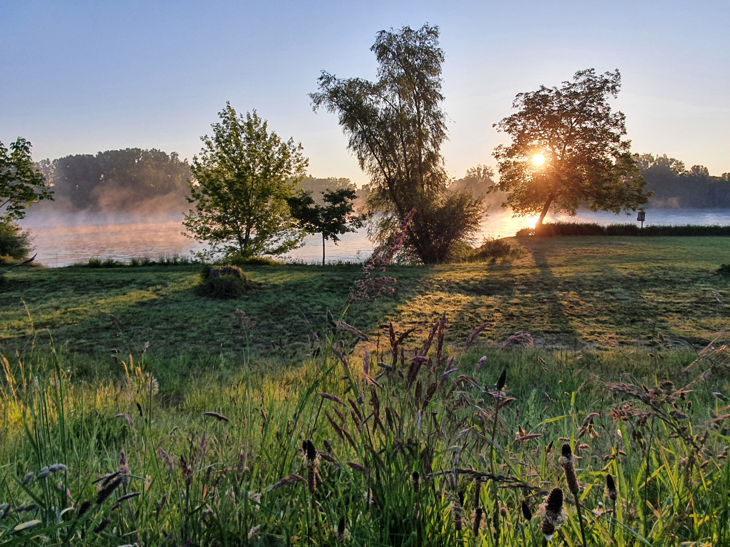 Sonnenaufgang Rheinfähre Guntersblum