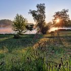 Sonnenaufgang Rheinfähre Guntersblum