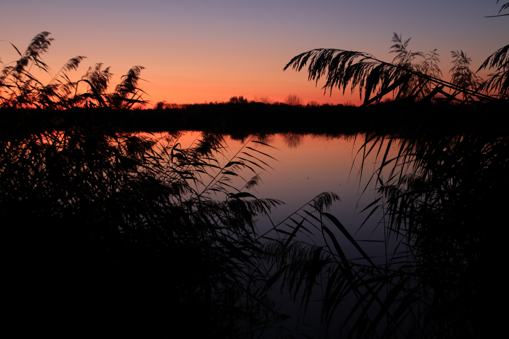 Sonnenaufgang Rieselfelder