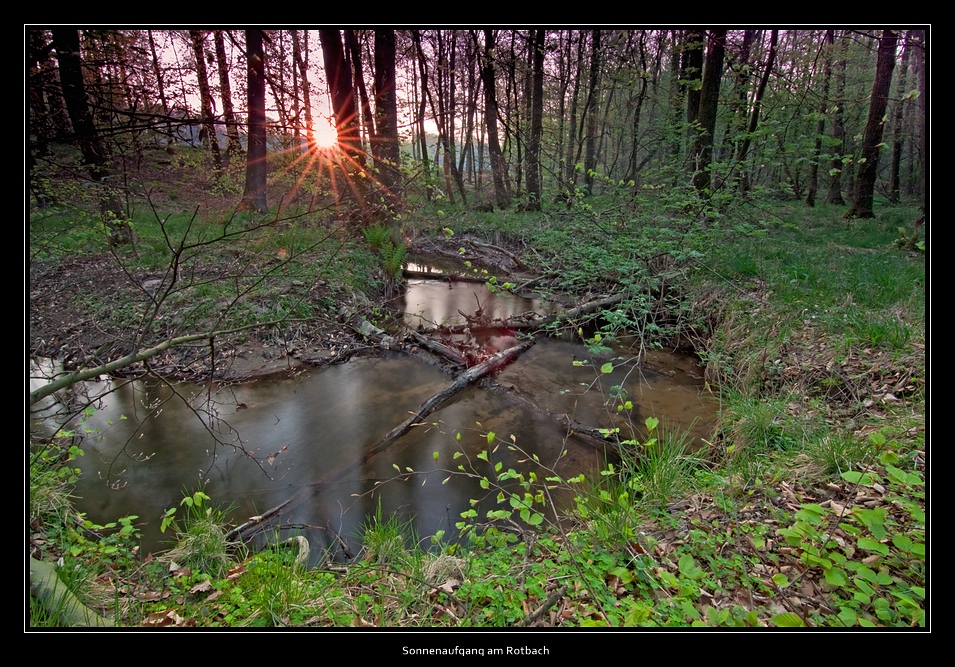 Sonnenaufgang Rotbachtal