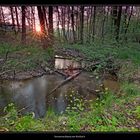 Sonnenaufgang Rotbachtal