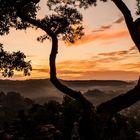 Sonnenaufgang sächsische Schweiz