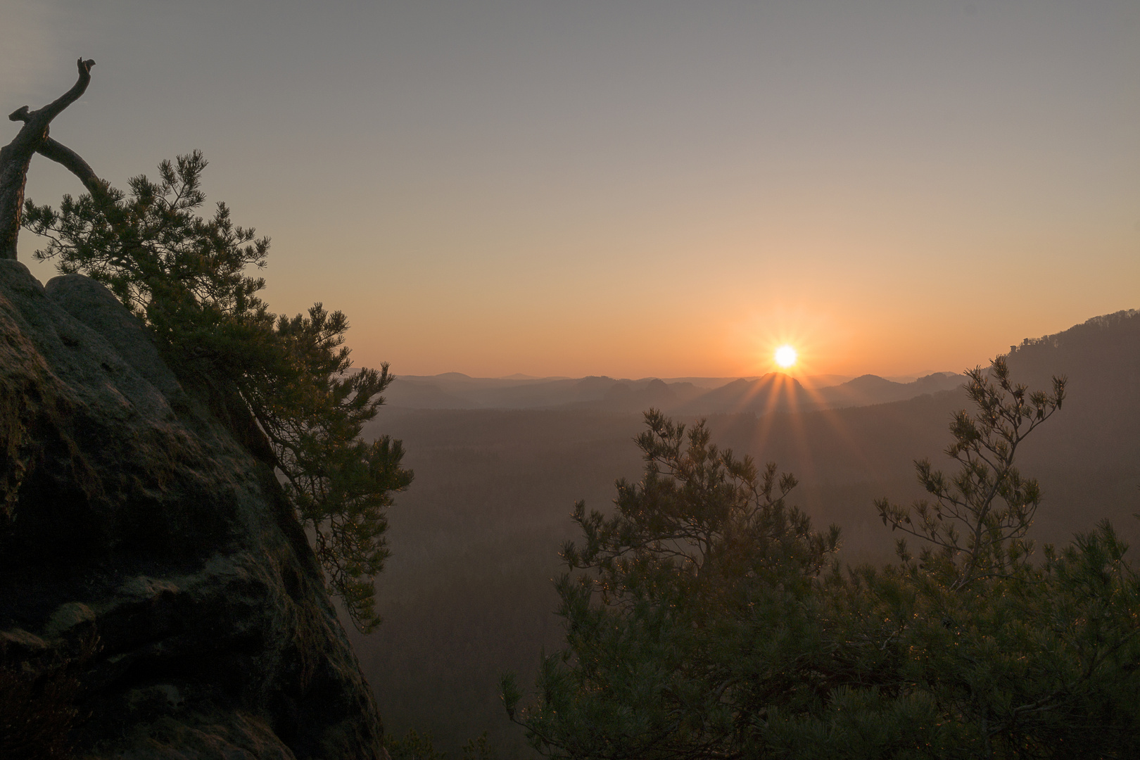 Sonnenaufgang Sächsische Schweiz Hänschelstiege Fotokiefer