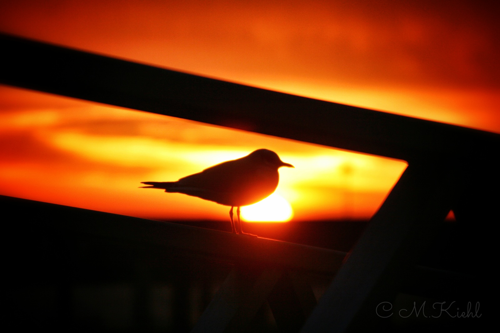 Sonnenaufgang Sassnitzer Hafen