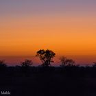 Sonnenaufgang Satara