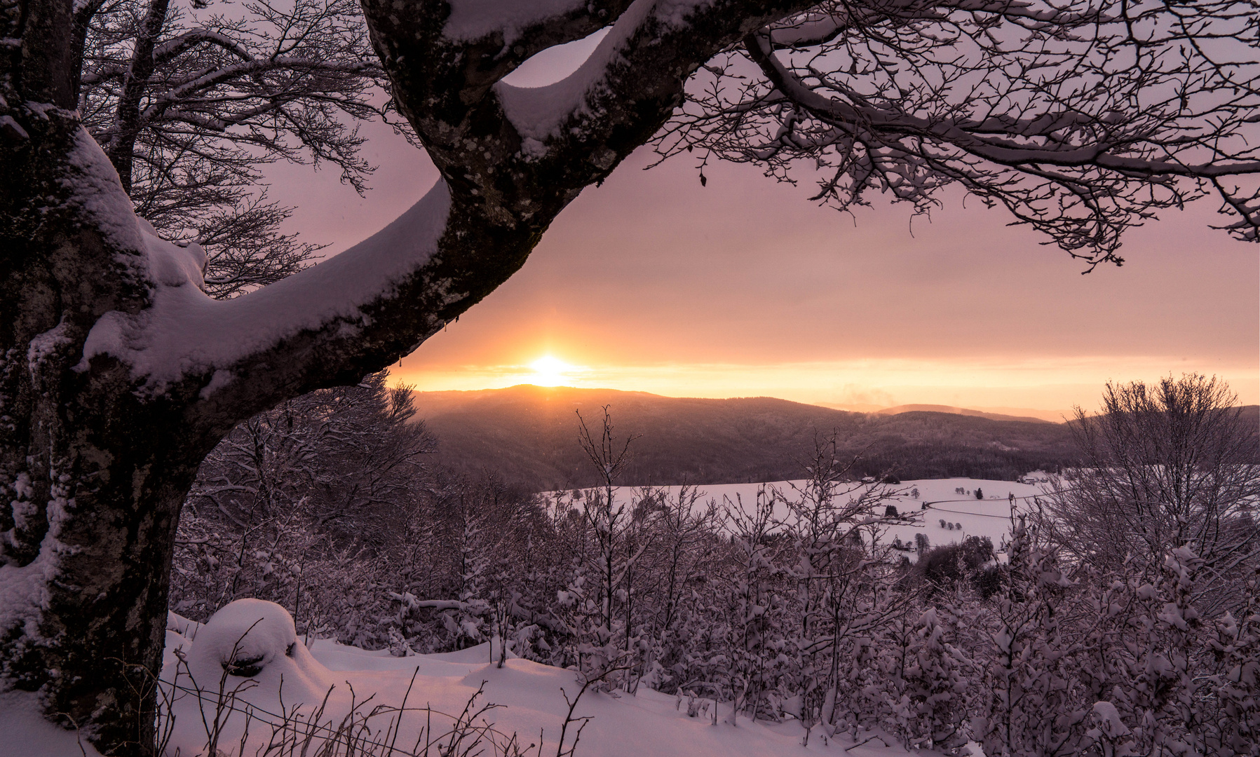 Sonnenaufgang Schauinsland II