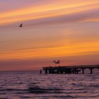 Sonnenaufgang Schönberger Seebrücke