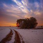 sonnenaufgang schutschur elbe