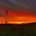 Sonnenaufgang Schwalmstadt 2