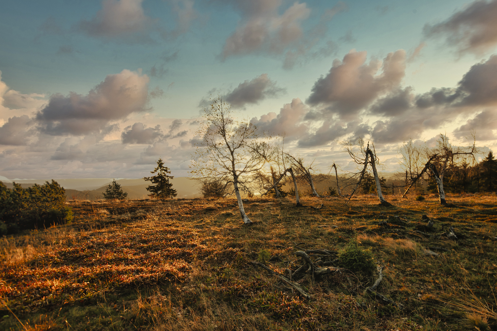 **SONNENAUFGANG SCHWARZWALD**