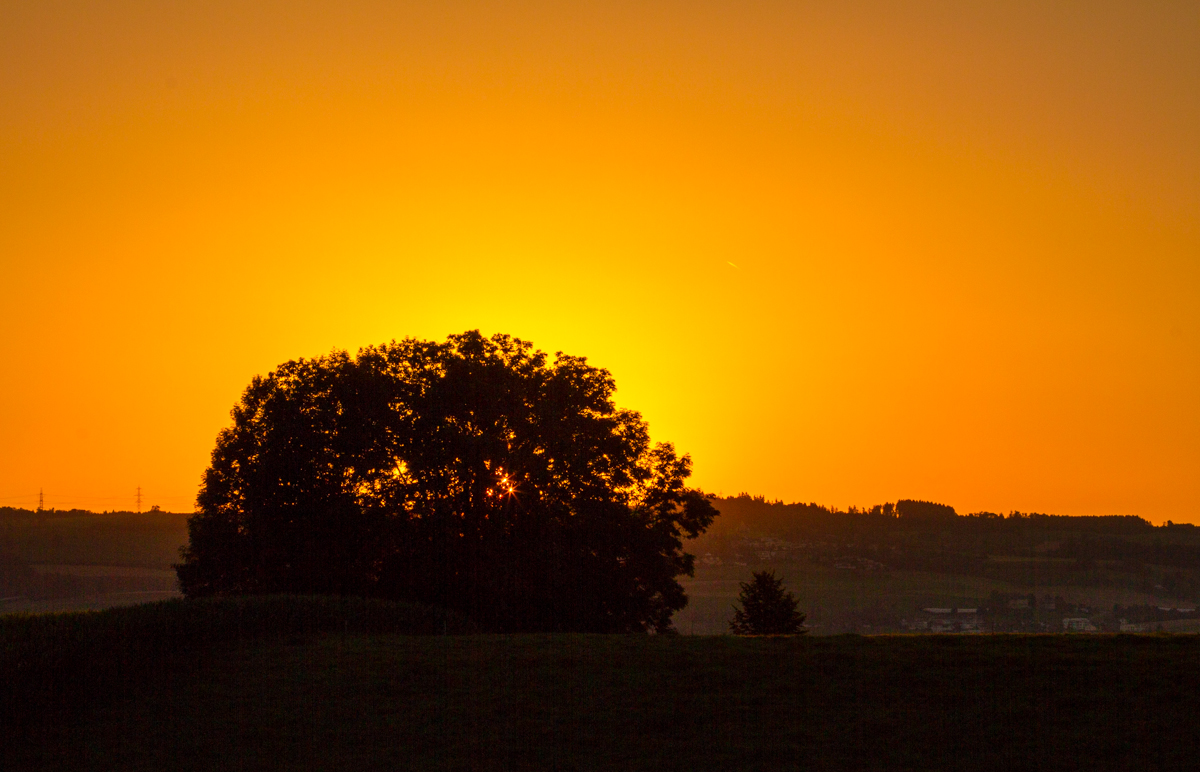 Sonnenaufgang Sempachersee