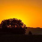 Sonnenaufgang Sempachersee