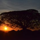 Sonnenaufgang Serengeti