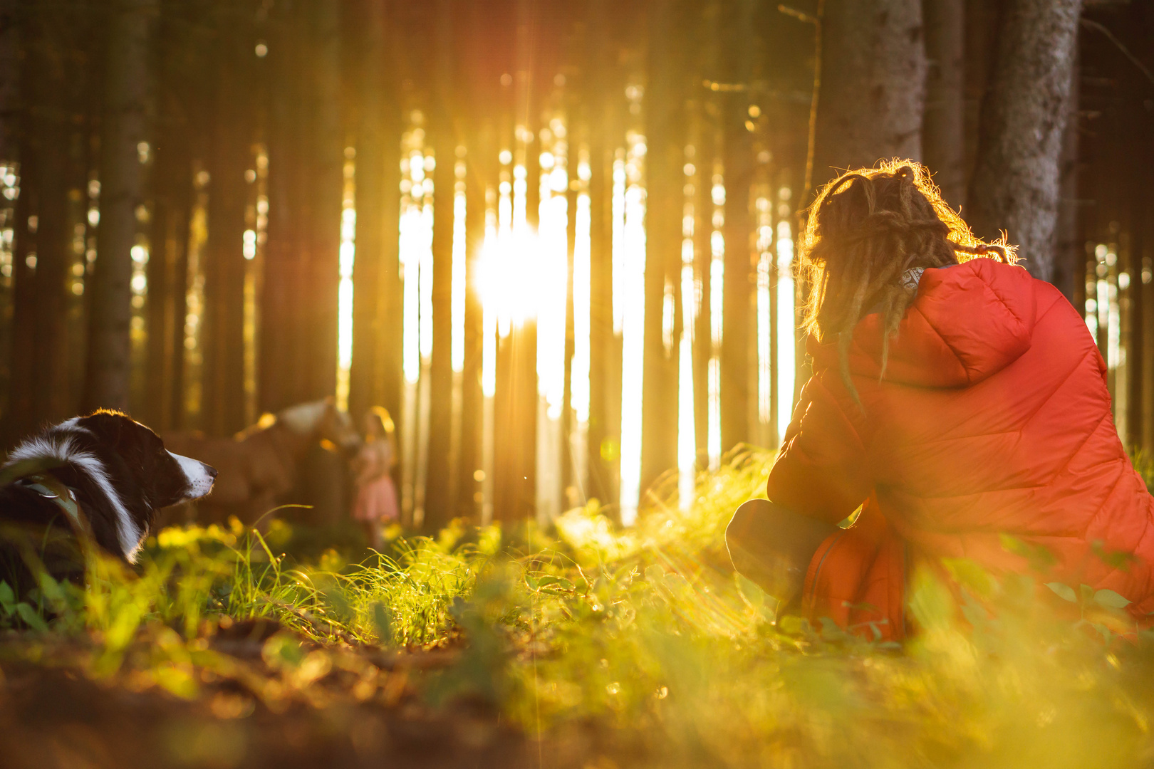 Sonnenaufgang: shooting vom shooting