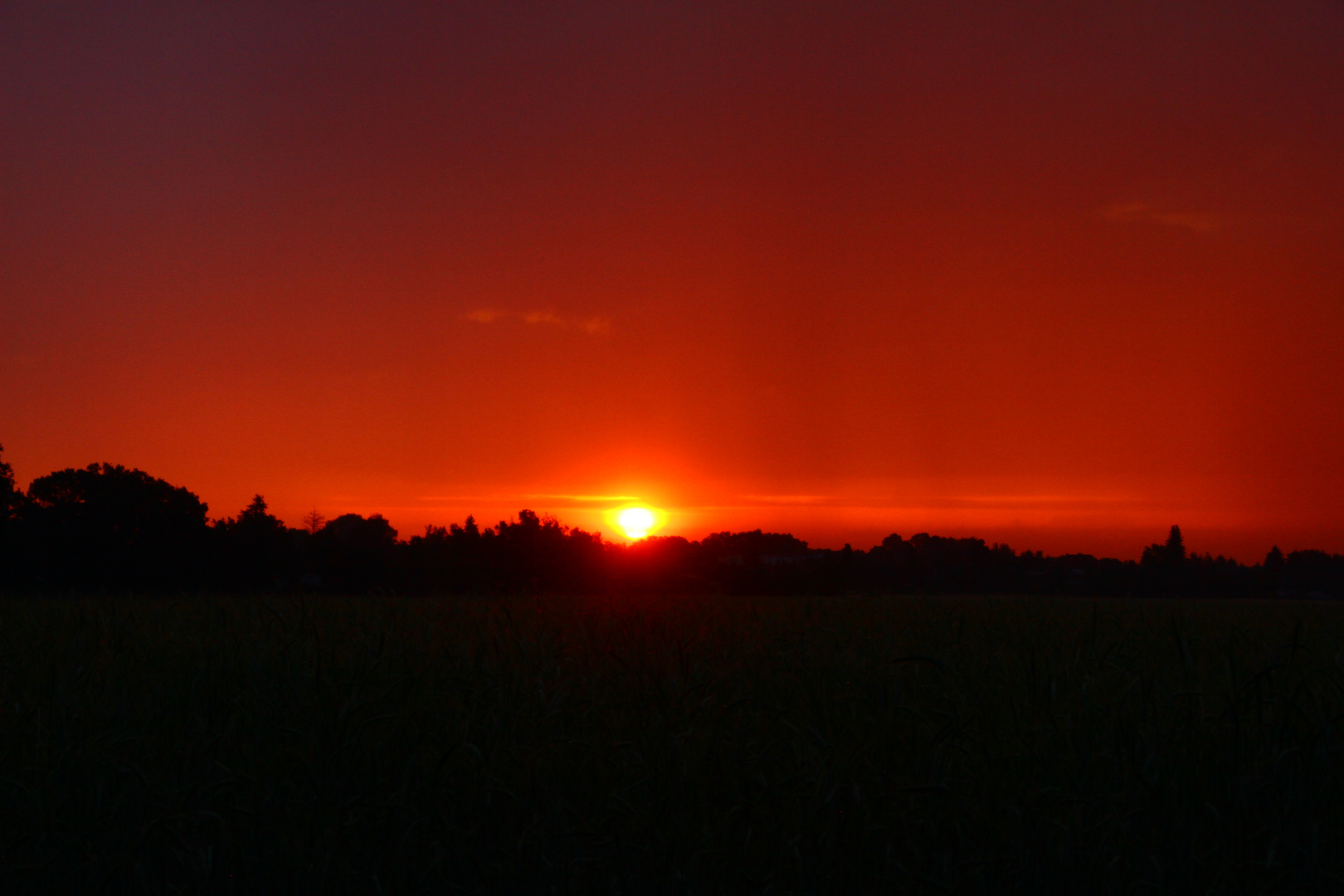 Sonnenaufgang / Sommersonnenwende 2023