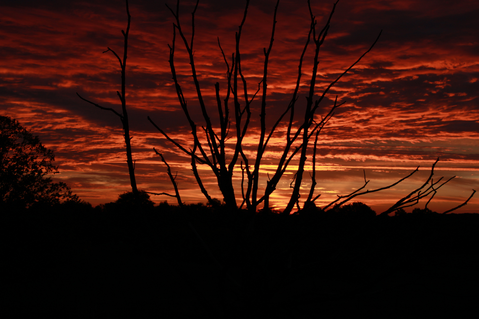 Sonnenaufgang spezial