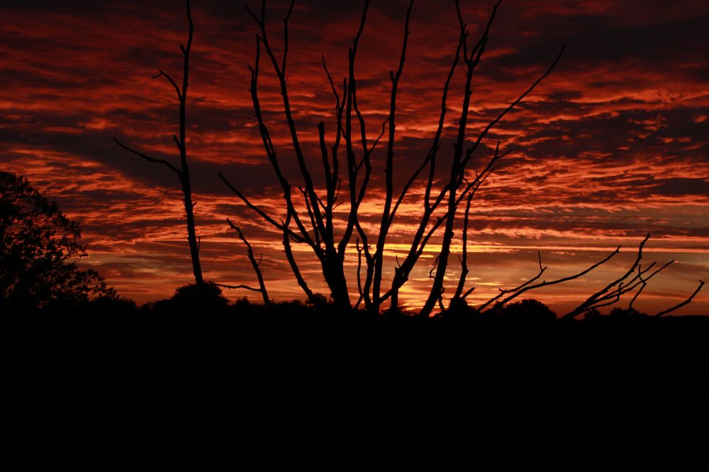 Sonnenaufgang spezial