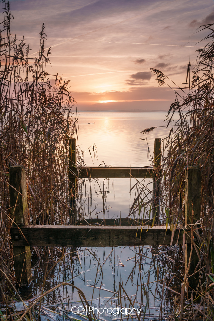 Sonnenaufgang Steinhuder Meer