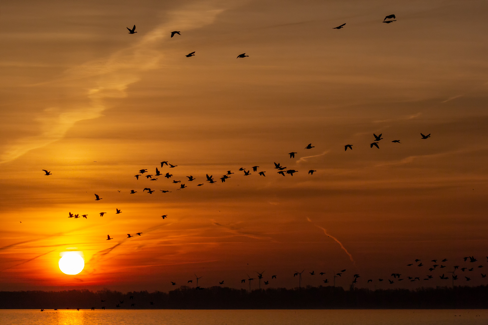 Sonnenaufgang Steinhuder Meer