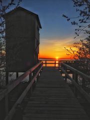 Sonnenaufgang Steinhudermeer