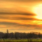 Sonnenaufgang Stimmung in der Kirchheller Heide