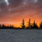 Sonnenaufgang Strand Ahrenshoop