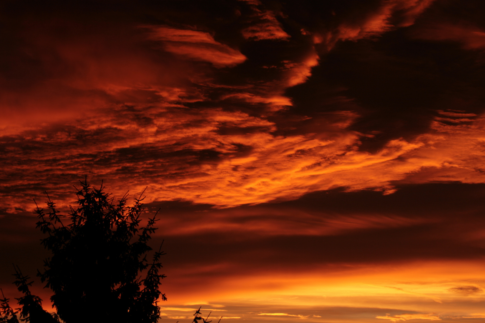 Sonnenaufgang - Sturmwarnung?