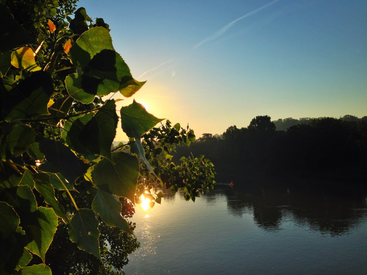 Sonnenaufgang stuttgart Bad cannstatt