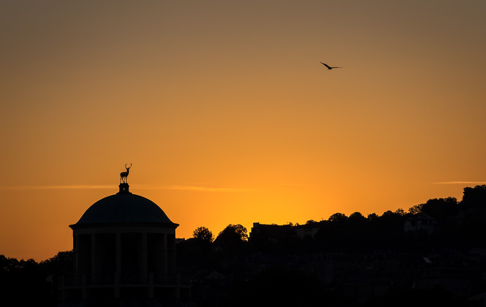 Sonnenaufgang Stuttgart Schlossplatz