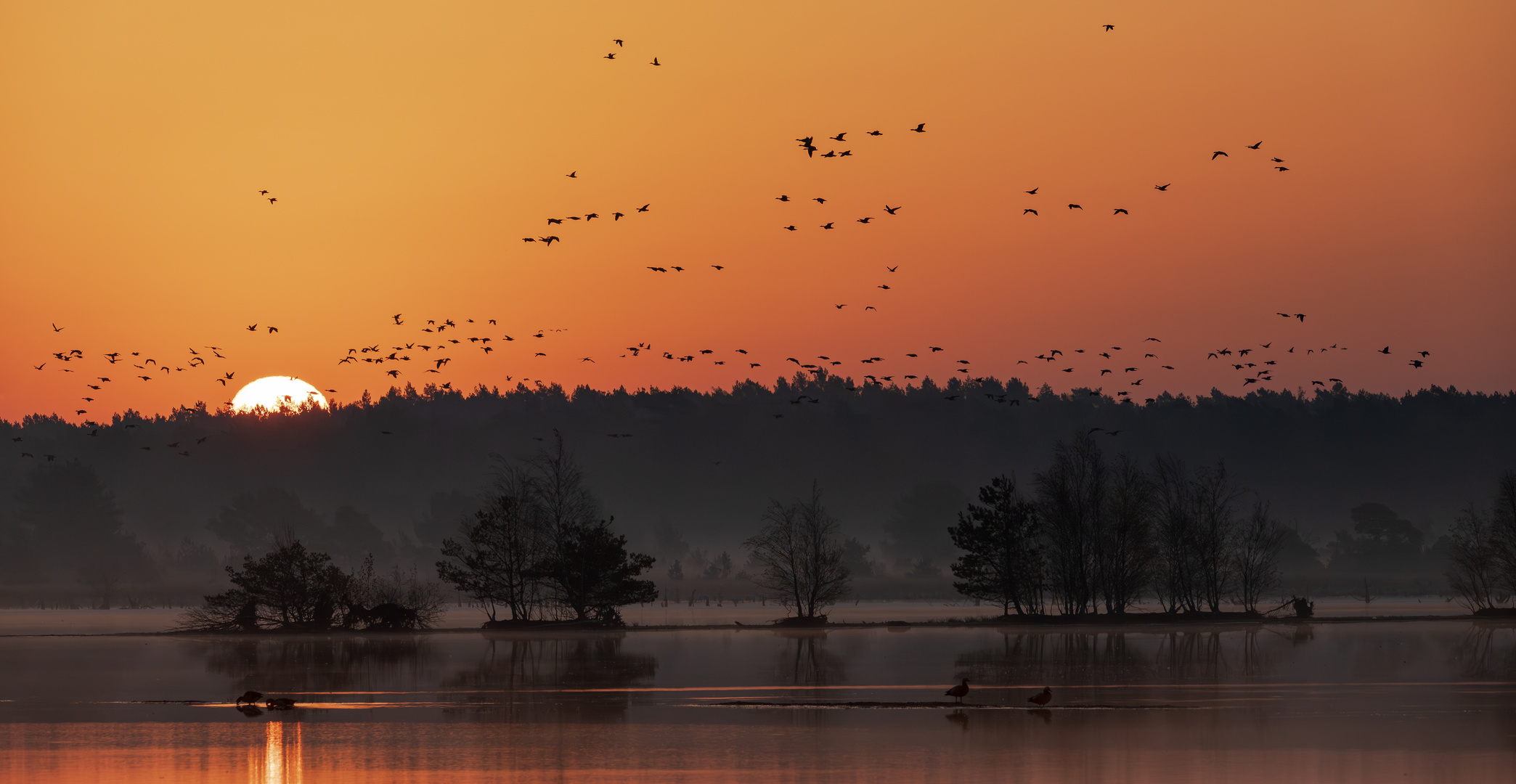 Sonnenaufgang Tister Bauernmoor