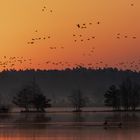 Sonnenaufgang Tister Bauernmoor