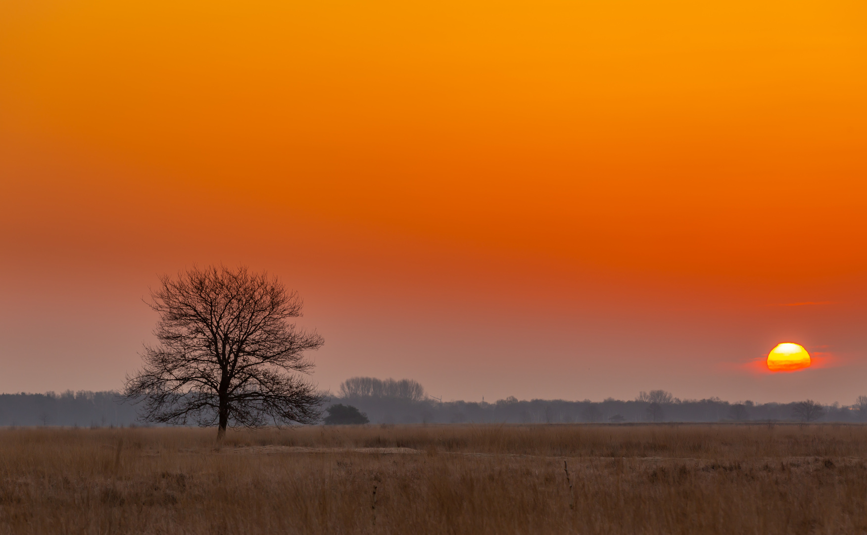 Sonnenaufgang Torfmoor