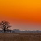 Sonnenaufgang Torfmoor