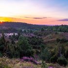 Sonnenaufgang Toten Grund / Lüneburger Heide