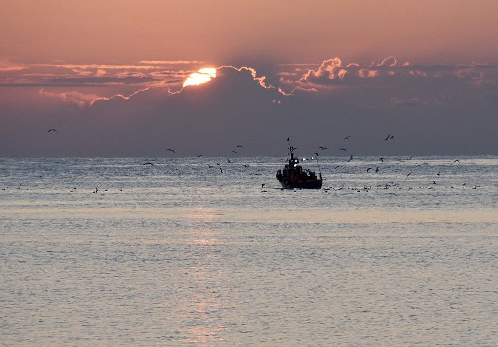 sonnenaufgang, trani, italien