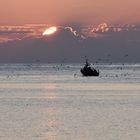 sonnenaufgang, trani, italien