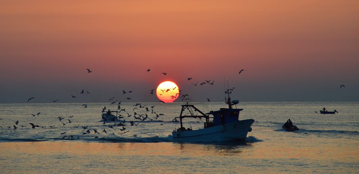 sonnenaufgang, trani, italien