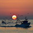 sonnenaufgang, trani, italien