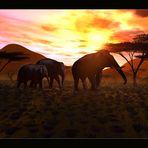 Sonnenaufgang über Afrika ...