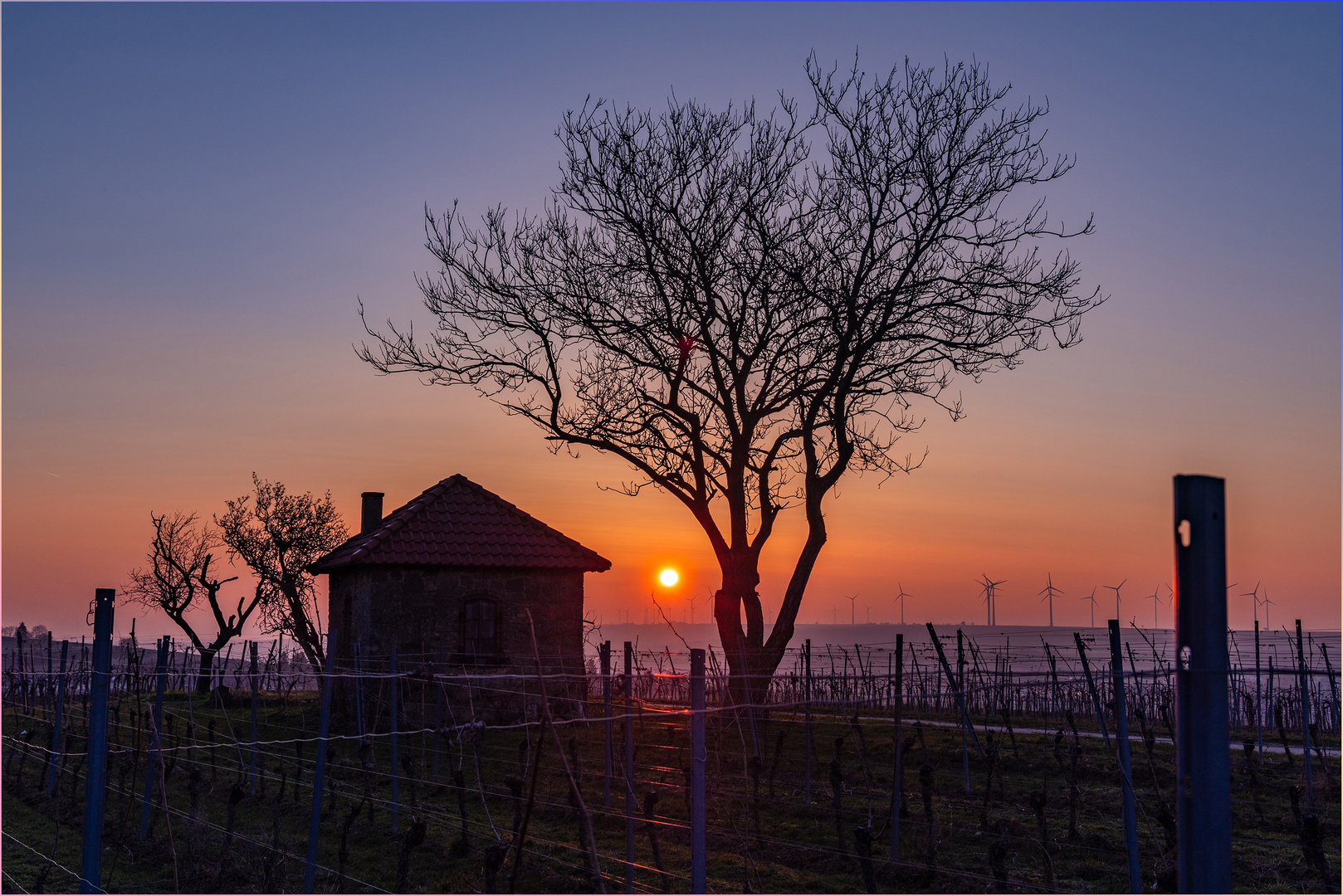 Sonnenaufgang über Alzey - I - 