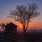 Sonnenaufgang über Alzey - I - 