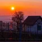 Sonnenaufgang über Alzey - II - 