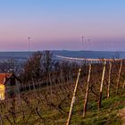 Sonnenaufgang über Alzey - III -