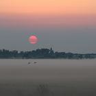 Sonnenaufgang über Apetlon