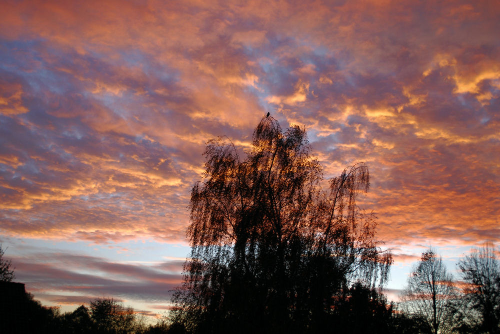 Sonnenaufgang über Bielefeld