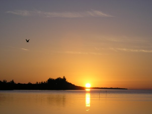 Sonnenaufgang über Bimini ( Bahamas)