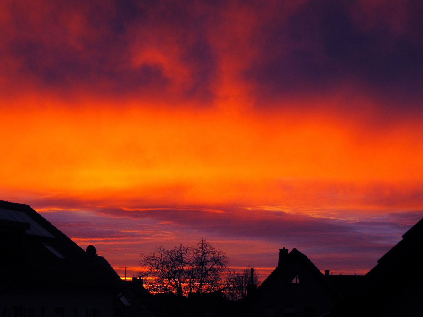 Sonnenaufgang über Bonn